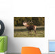 A Male Deer Calling Wall Mural
