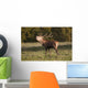 A Male Deer Calling Wall Mural