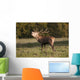 A Male Deer Calling Wall Mural
