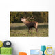 A Male Deer Calling Wall Mural