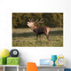 A Male Deer Calling Wall Mural