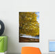 A Tree With Golden Leaves And A Park Bench On The Edge Of The Water Wall Mural