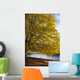 A Tree With Golden Leaves And A Park Bench On The Edge Of The Water Wall Mural