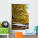 A Tree With Golden Leaves And A Park Bench On The Edge Of The Water Wall Mural