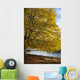 A Tree With Golden Leaves And A Park Bench On The Edge Of The Water Wall Mural