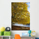 A Tree With Golden Leaves And A Park Bench On The Edge Of The Water Wall Mural