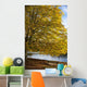 A Tree With Golden Leaves And A Park Bench On The Edge Of The Water Wall Mural