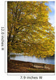 A Tree With Golden Leaves And A Park Bench On The Edge Of The Water Wall Mural