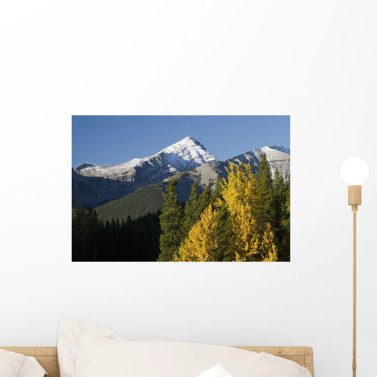 Autumn Colors In The Rocky Mountains Wall Mural