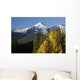 Autumn Colors In The Rocky Mountains Wall Mural