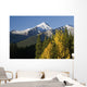 Autumn Colors In The Rocky Mountains Wall Mural