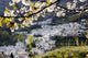 Trevelez In Sierra Nevada Mountains Wall Mural