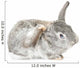 Cute Baby Bunny