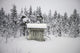 Snow Covered Cabin By Forest Wall Mural