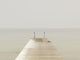 Wooden Pier On Misty Lake At Dawn Wall Mural