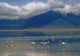 Flamingoes In Crater Lake At Ngorongoro Wall Mural