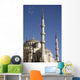 Blue Mosque Or Sultan Ahmet Camii Wall Mural