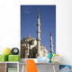 Blue Mosque Or Sultan Ahmet Camii Wall Mural