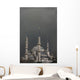 Blue Mosque/Sultan Ahmet Camii Wall Mural
