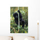 Close-Up Of Young Gorilla, Looking At Camera Wall Mural
