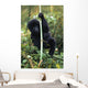 Close-Up Of Young Gorilla, Looking At Camera Wall Mural