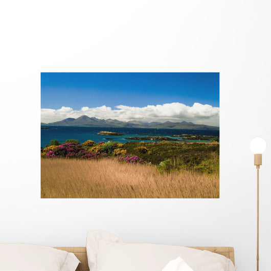Gorse And Rhododendron Bushes Along Coast Wall Mural