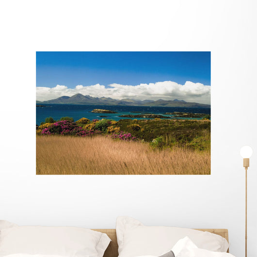 Gorse And Rhododendron Bushes Along Coast Wall Mural