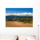 Gorse And Rhododendron Bushes Along Coast Wall Mural