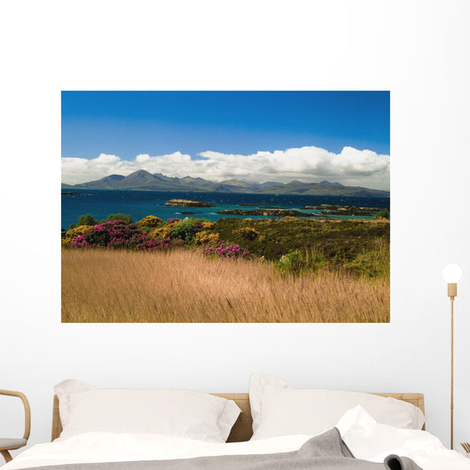 Gorse And Rhododendron Bushes Along Coast Wall Mural