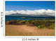 Gorse And Rhododendron Bushes Along Coast Wall Mural