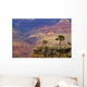 South Rim Of Grand Canyon, Elevated View Wall Mural