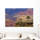South Rim Of Grand Canyon, Elevated View Wall Mural