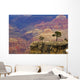 South Rim Of Grand Canyon, Elevated View Wall Mural