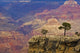 South Rim Of Grand Canyon, Elevated View Wall Mural