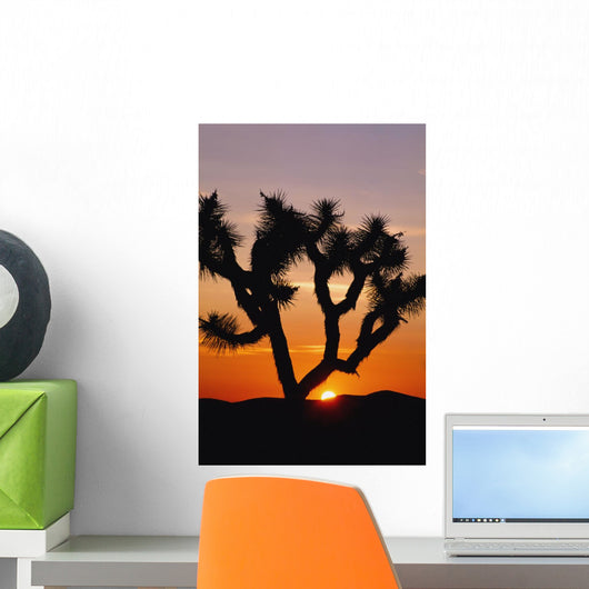 Silhouette Of Joshua Tree At Sunset Wall Mural