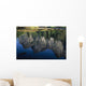 Reflections In Mered River Wall Mural