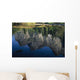 Reflections In Mered River Wall Mural