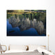 Reflections In Mered River Wall Mural