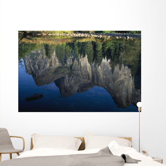 Reflections In Mered River Wall Mural