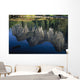 Reflections In Mered River Wall Mural