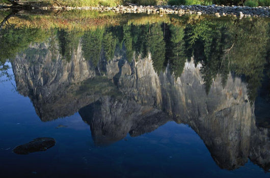 Reflections In Mered River Wall Mural
