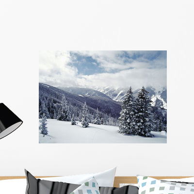 Snow Covered Pine Trees Wall Mural shown on a wall