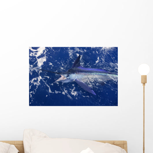 Atlantic White Marlin Big Game Sport Fishing Wall Mural