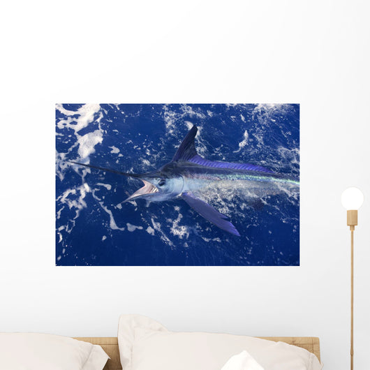 Atlantic White Marlin Big Game Sport Fishing Wall Mural