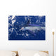 Atlantic White Marlin Big Game Sport Fishing Wall Mural