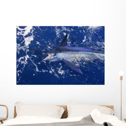 Atlantic White Marlin Big Game Sport Fishing Wall Mural