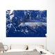 Atlantic White Marlin Big Game Sport Fishing Wall Mural