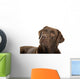 Chocolate labrador retriever Wall Decal