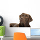 Chocolate labrador retriever Wall Decal