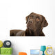 Chocolate labrador retriever Wall Decal